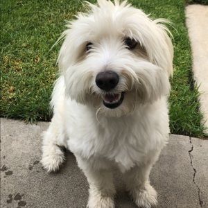 Meet your Posher, Holly